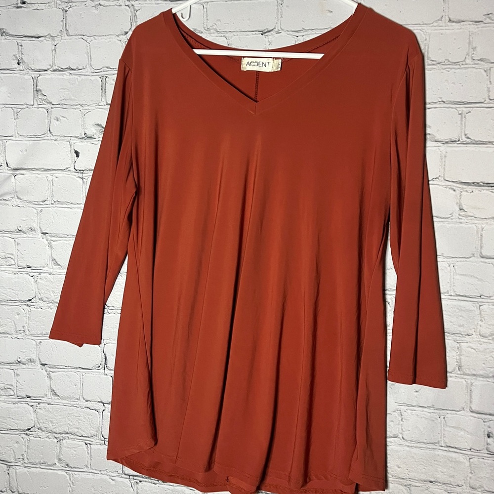 Terracotta V-Neck Tunic Top